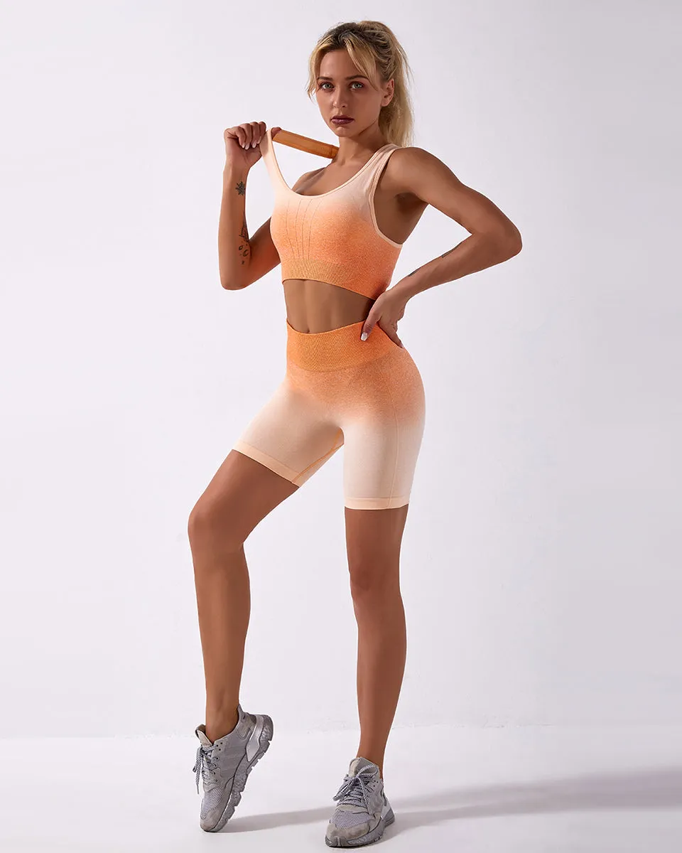Calico Ombre Seamless Sports Bra