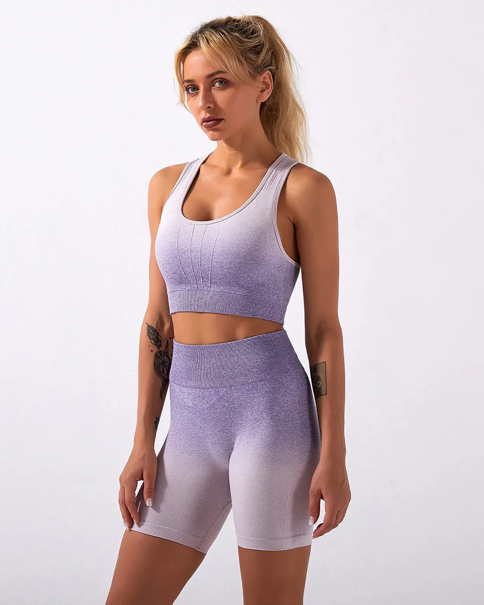 Calico Ombre Seamless Sports Bra