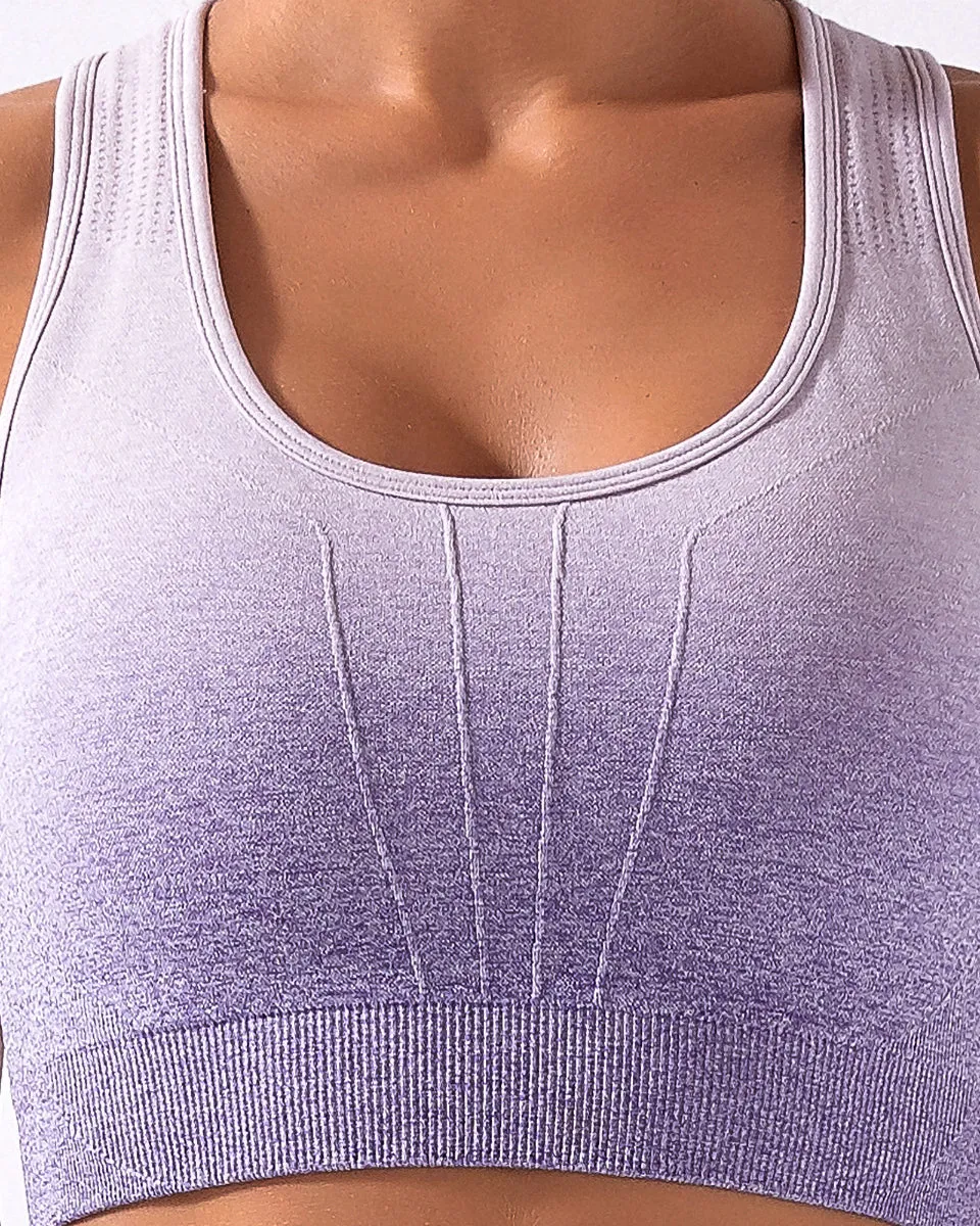 Calico Ombre Seamless Sports Bra