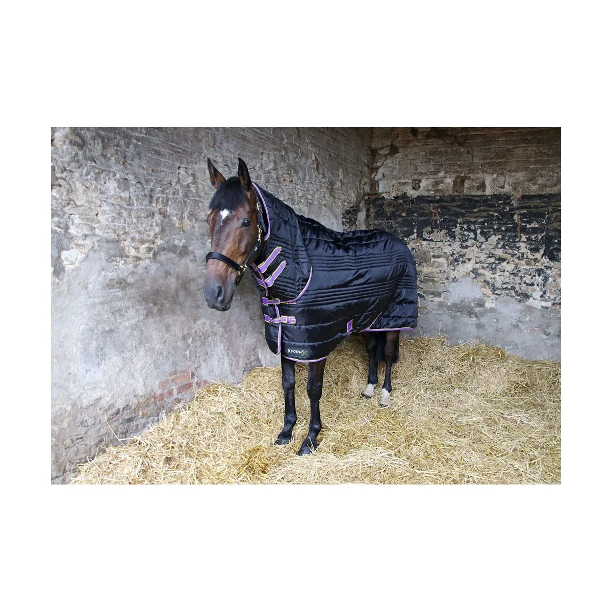 Coldstream Cornhill Quilted Coat